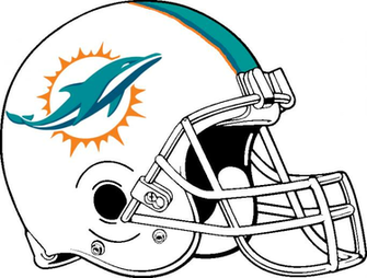 Dolphins New Helmet Present By Chenglor55