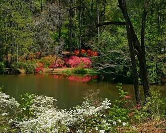 Nature Springtime Desktop Wallpaper For Pc Mac