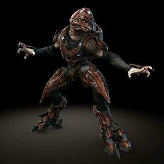 Halo Immagini Elite HD Wallpaper And Background Foto