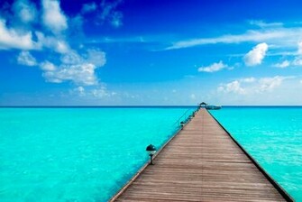 Mind Relaxing Wallpaper I Wouldn T Walking