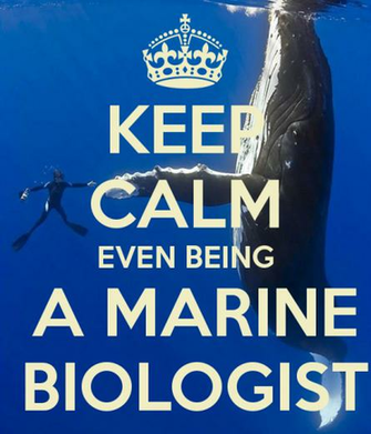 Marine Biology Wallpaper Nobody Has Voted For This