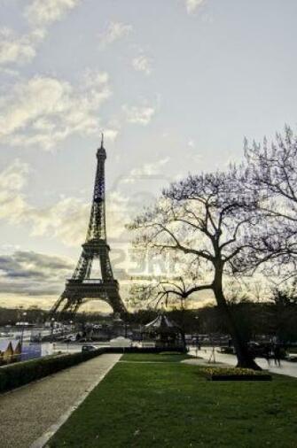 Paris In Winter