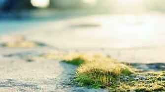 Good Morning Summer Season HD Wallpaper