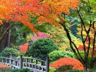 3d Wallpaper Nature Photo Desktop