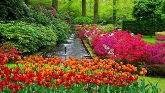 Keukenhof Gardens High Quality And Resolution Wallpaper