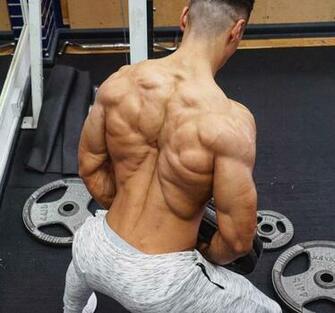 Andrei Deiu Age Height Weight Image Bio Diet Workout