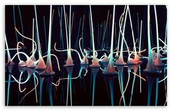 Chihuly Garden And Glass HD Wallpaper For Standard Fullscreen