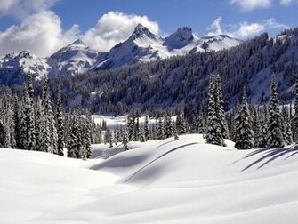 The Snow Wallpaper Desktopwallpaper Desktop Background