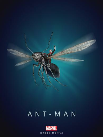 Forums Topic Ant Man Wallpaper Posters Now