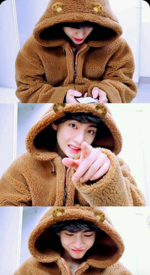 Pap Is De Parede Tae Wallpaper