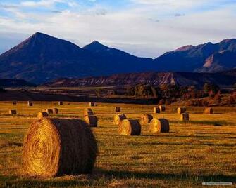Wallpaper Photography Harvest
