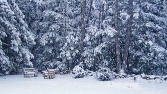 Snow Storm Desktop Wallpaper HD Background Of Your