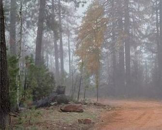 Misty Mountain Road Wallpaper