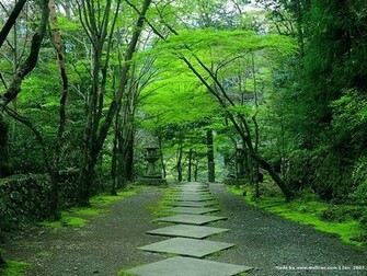 Garden Wallpaper Japanese In Kyoto Zen Of