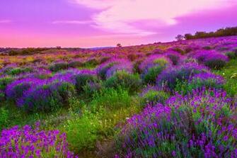 Spring Landscape Nature Emotions Romantic Countryside Clouds Wallpaper