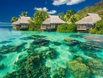 4k Wallpaper Tropical Beach Dopepicz