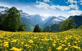 Rarely Seen And Beautiful Scene HD Natural Scenery Wallpaper Jpg