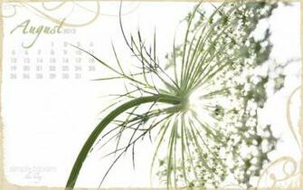 Queen Anne S Lace Desktop Wallpaper Simply Bloom