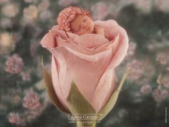 Anne Geddes Wallpaper Prints Posters