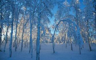 Desktop Wallpaper Winter Themes In HD