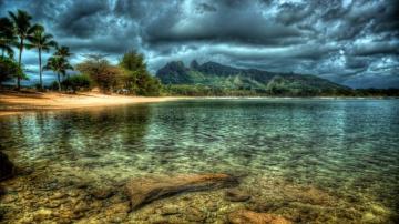 Kauai Beach Hawaii Island Trees Reflection HD Wallpaper