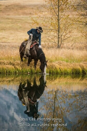 Cowboys Horses Wild Nature Widescreen Background Picture HD Wallpaper