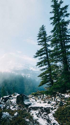 Beautiful Back To Nature iPhone Wallpaper Preppy