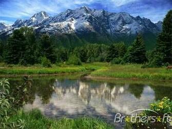 Back Gallery For Alpine Audio Wallpaper