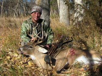Monster Buck Wallpaper Weddingdressin
