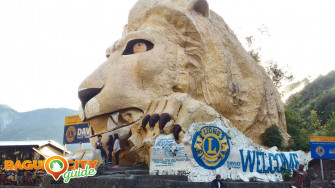 Lion Head Wallpaper