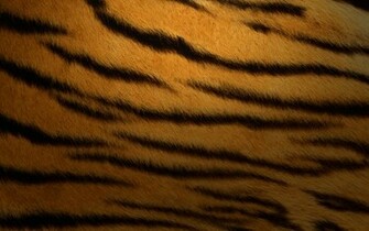 Mac Os Tiger Wallpaper Stock Photos