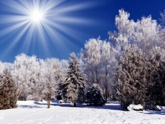 Winter Nature Snow Scene Wallpaper Walljpeg
