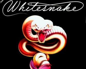 White Snake Wallpaper Gallery