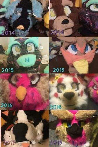 Fursuit Evolution Furry Amino