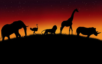 African Png