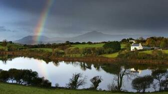 Dawn Ireland Wallpaper Bay