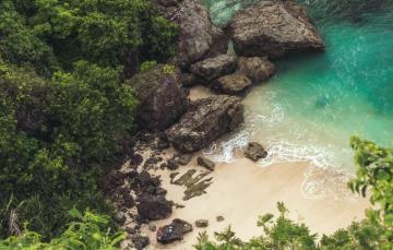 Wallpaper Trees Sea Landscape Beach Nature Rocks Sand