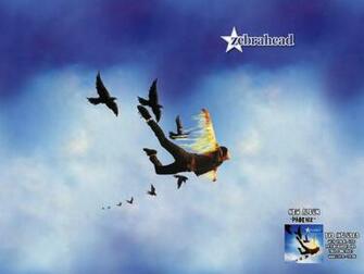 Zebrahead Image Fuck Yeah HD Wallpaper And Background Flight