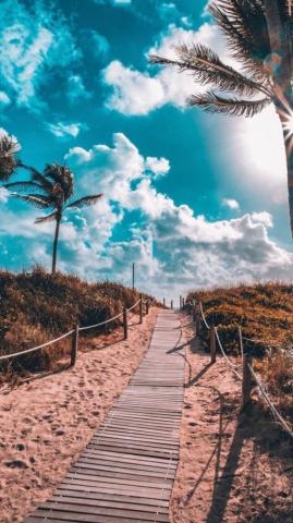 Summer Wallpaper For iPhone Sun Filled Background
