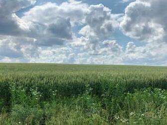 Acres Edwards County Il Tillable Farm Cropland Farmland 2434l
