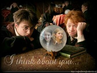 Harry Ron And Hermione Wallpaper