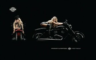 Harley Davidson V Rod Muscle Desktop And Mobile Wallpaper Wallippo