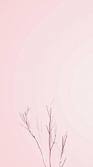 Top Pastel Phone Wallpaper Full HD 4k To Use