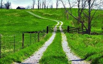 Closed Path On The Green Field HD Wallpaper Landscape Trees