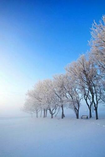 Winter iPhone Wallpaper Me