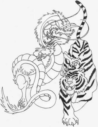 Dragon Vs Tiger Wallpaper Image Search Results