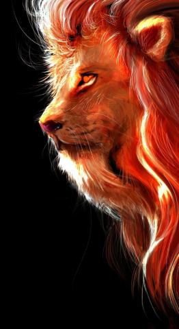 Animals Ideas Animal Wallpaper