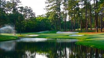 Augusta National Golf Course Wallpaper Dark Brown Hairs