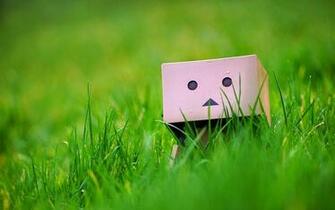Wallpaper Android iPhone Danbo Cute
