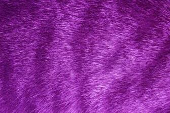 Purple Fur Wallpaper